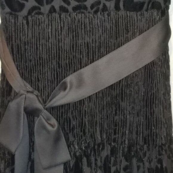 Miss Dior Collection Sheer Velour Pleated Whimsigoth Dress 60-70's Wednesday - Picture 4 of 10